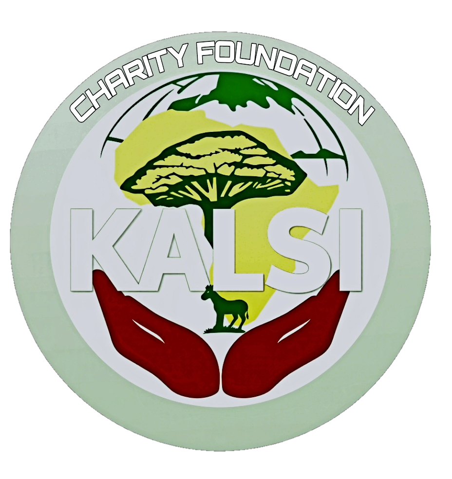 Kalsi Foundation Logo